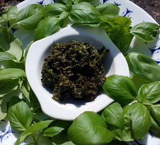 Bazalková pasta / pesto Bazalková pasta / pesto
