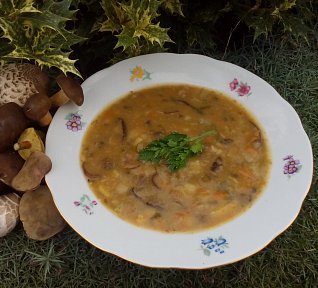 Houbová polévka se zeleninou