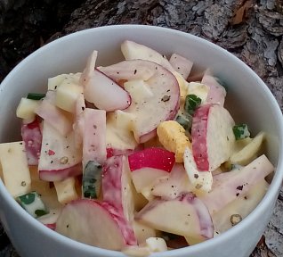 Jarní salát (nejen) se sýrem