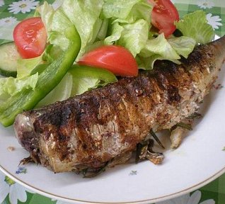 Makrela na grilu Institutu kompliment