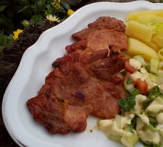 Pikantní medové plátky na pánev nebo gril