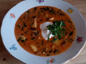 Maďarská medvědí polévka