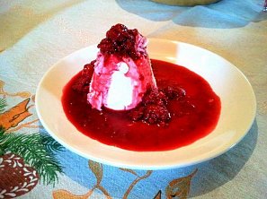 Panna cotta s malinovou omáčkou
